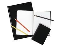 Daler Rowney dummy