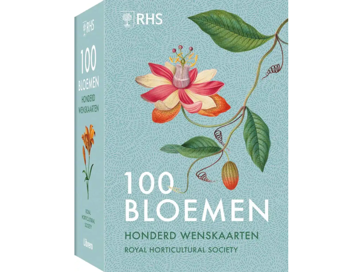 100 ANSICHTSKARTEN MIT BLUMENMOTIVEN 1