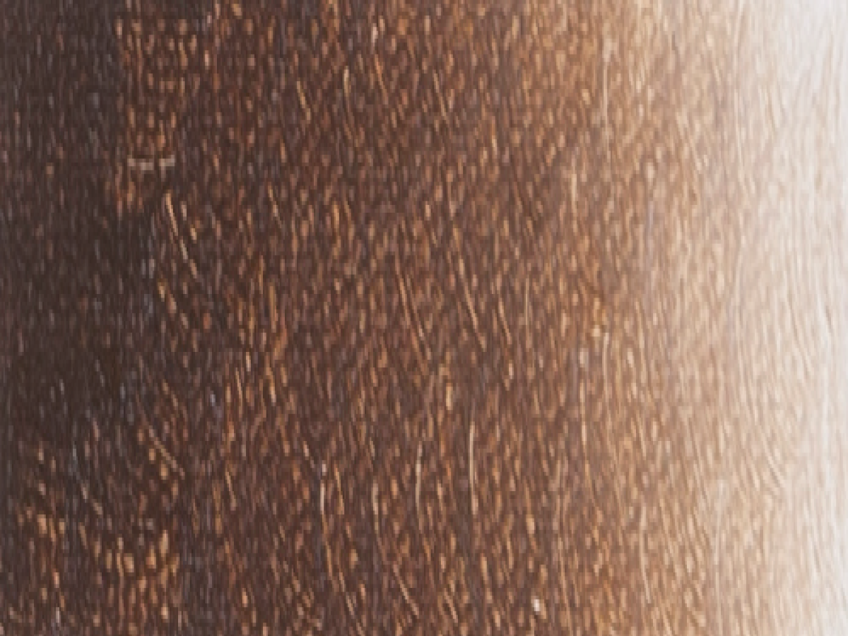 ARA ACRYLFARBE 100ML RAW UMBER A69 1