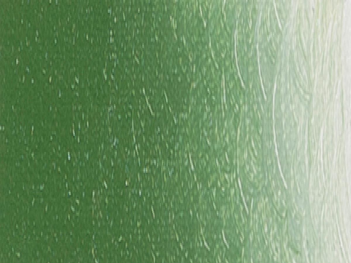ARA ACRYLFARBE 100ML CHROMIUM OXIDE GREEN B50 1
