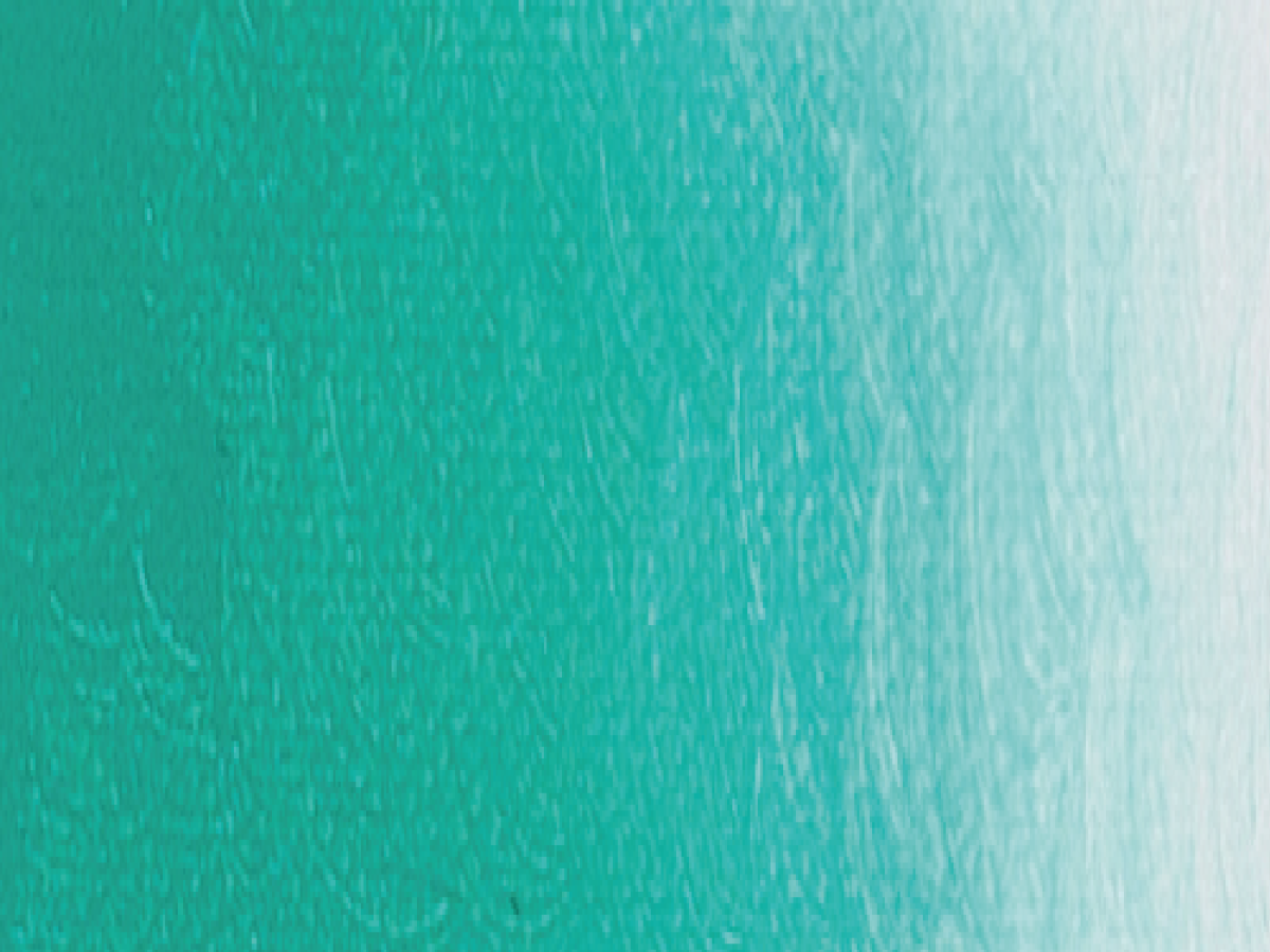 ARA ACRYLFARBE 100ML 271 PERMANENT GREEN DEEP 1