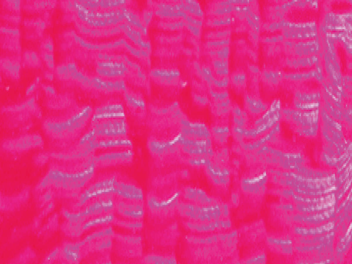 ARA ACRYLFARBE 100ML 715 NEON MAGENTA 1