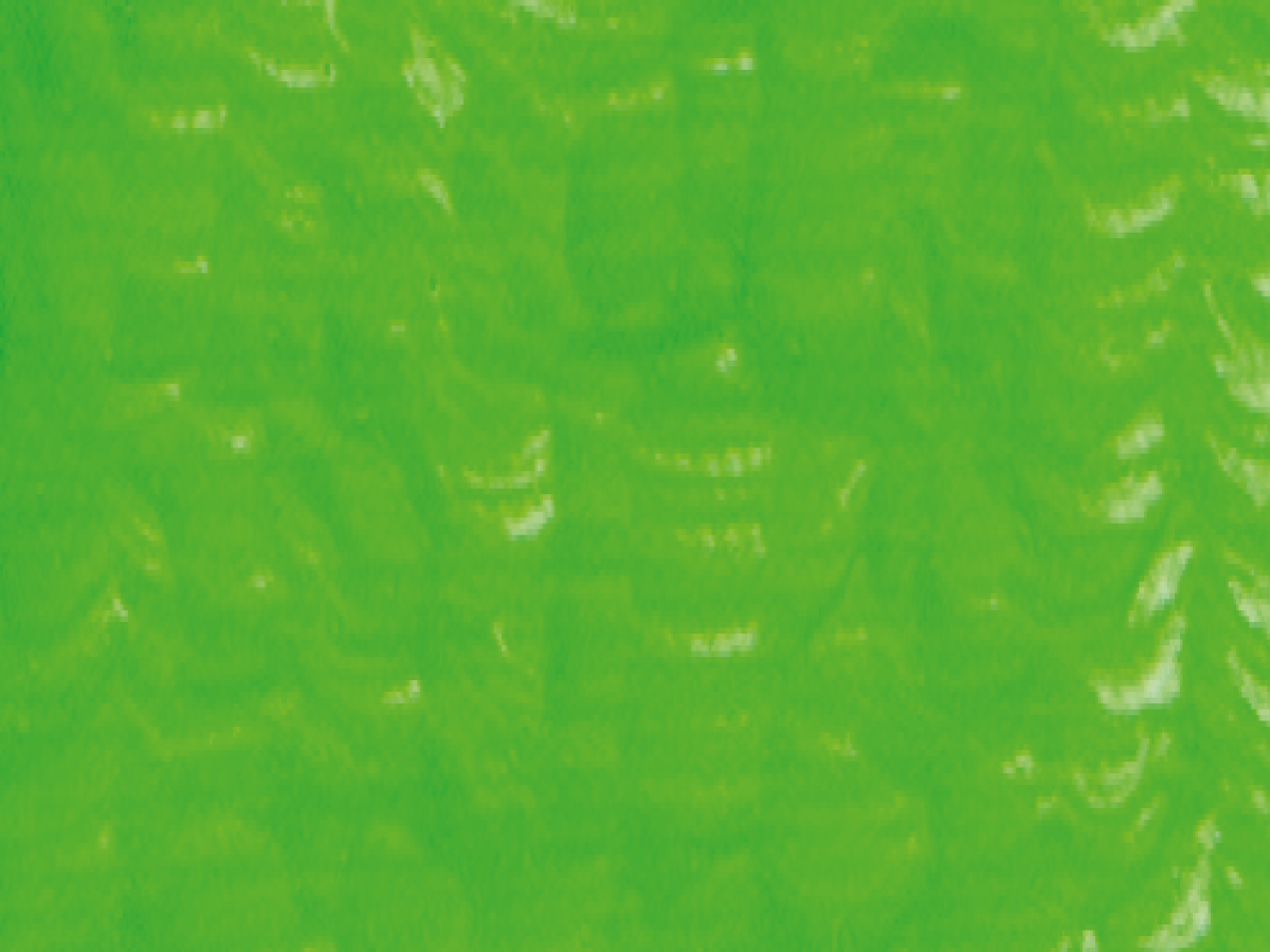 ARA  ACRYLFARBE 100ML 725 NEON GREEN 1