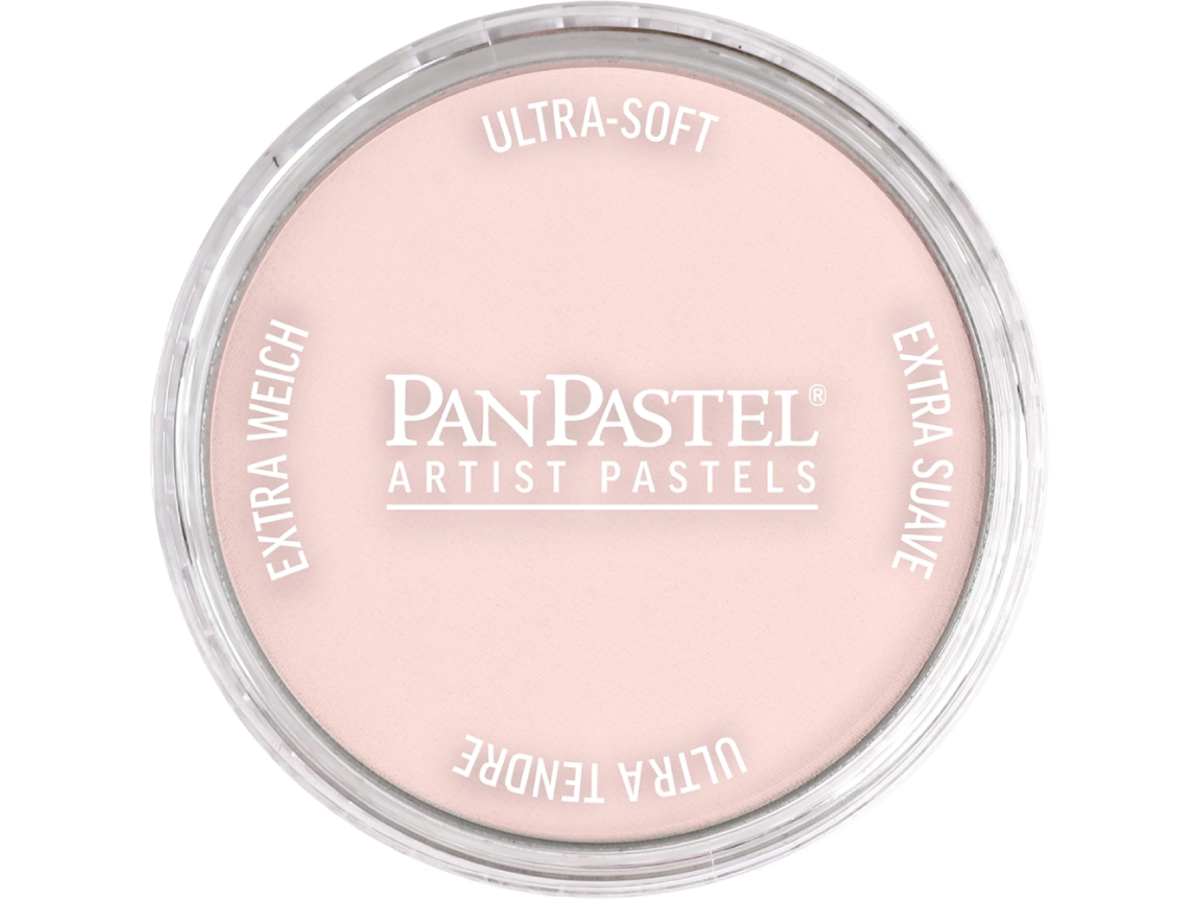 PANPASTEL 9ML VERMILION TINT 310.8 1