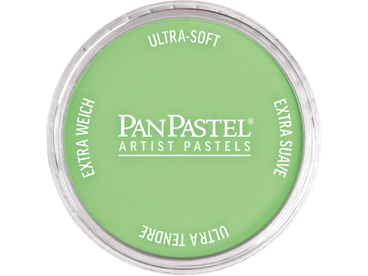 PANPASTEL 9ML YELLOW GREEN LIGHT 690.7 1