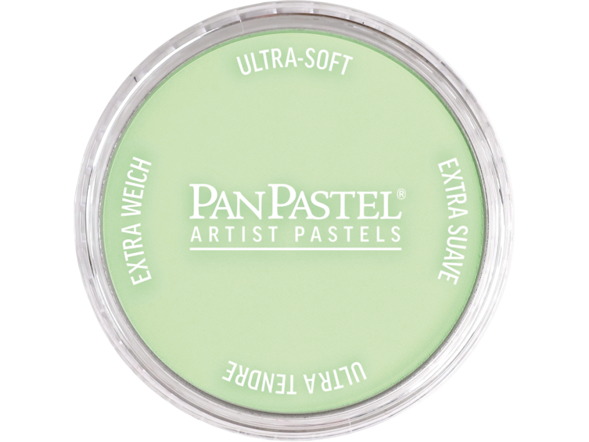 PANPASTEL 9ML YELLOW GREEN TINT 690.8 1