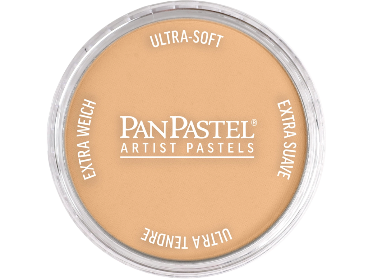 PANPASTEL 9ML RAW SIENNA LIGHT 710.7 1