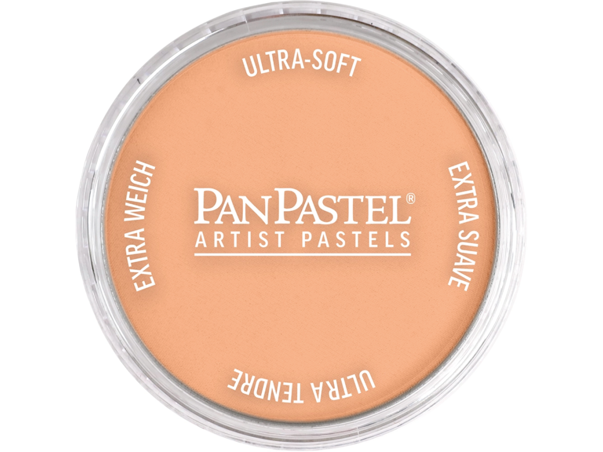 PANPASTEL 9ML BURNT SIENNA LIGHT 740.7 1