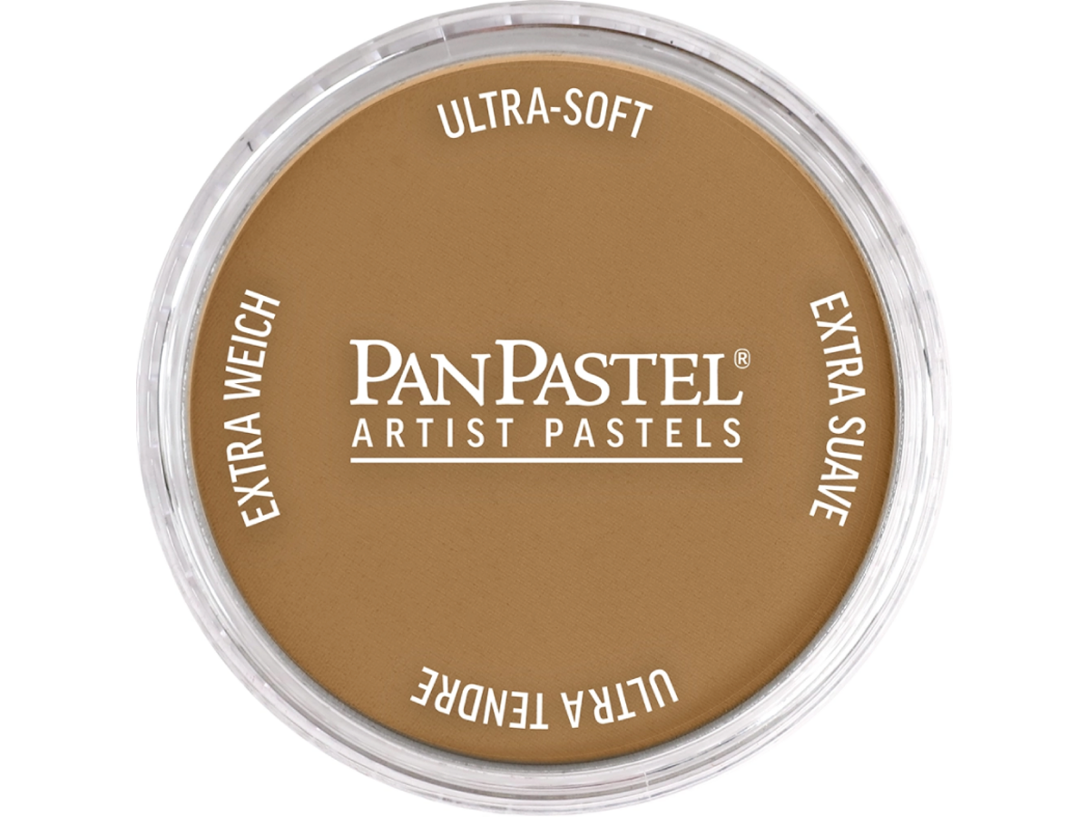 PANPASTEL 9ML BURNT UMBER MEDIUM 760.6 1