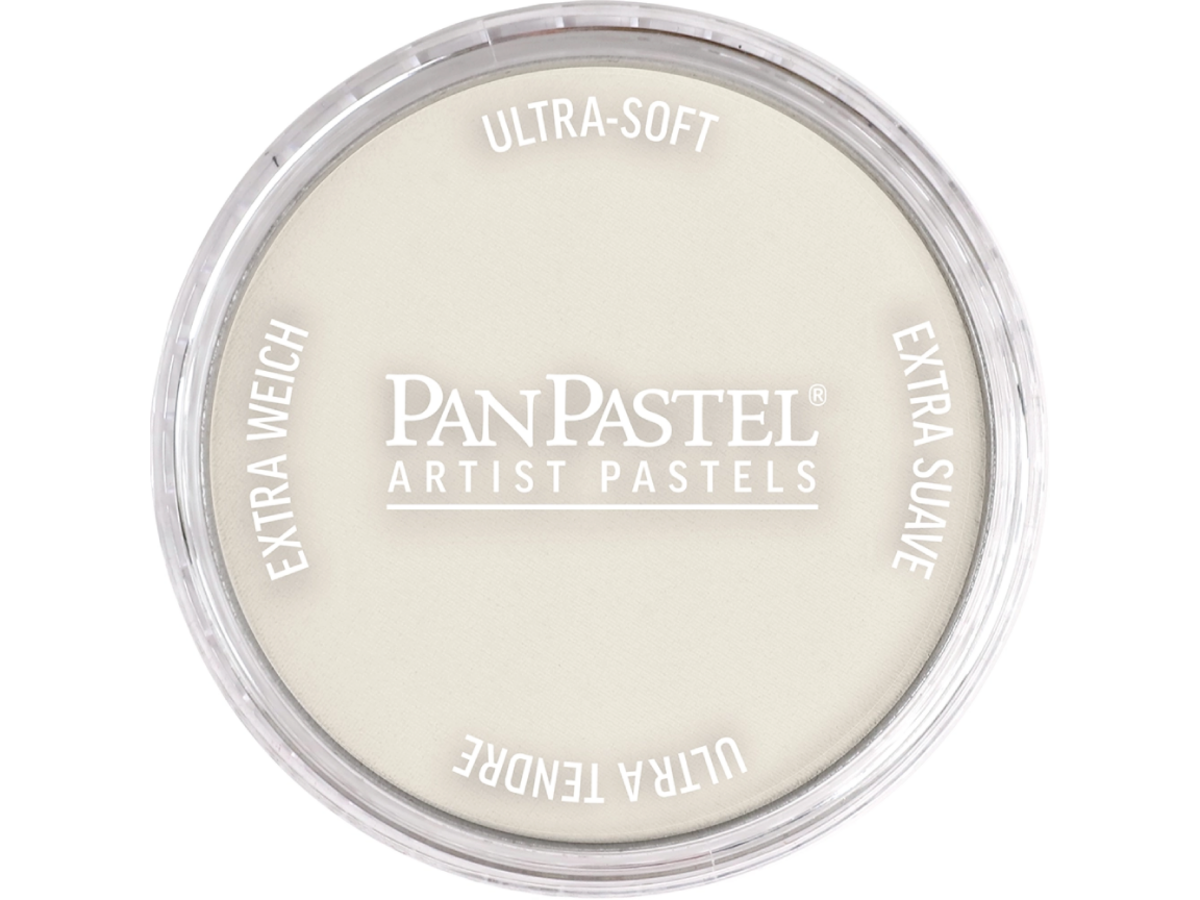 PANPASTEL 9ML BURNT UMBER TINT 760.8 1