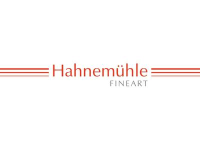 HAHNEMÜHLE KARTON HELLGRAU 300G/M² 70X100 1