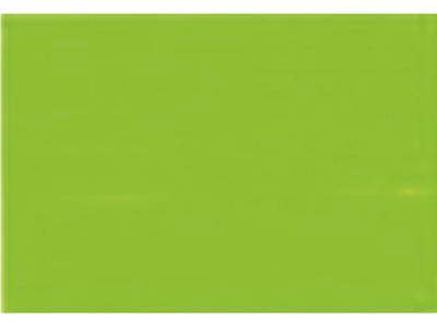 GAMBLIN CONSERVATION COLORS 1/2PAN PERMANENT GREEN LIGHT OP=OP 1