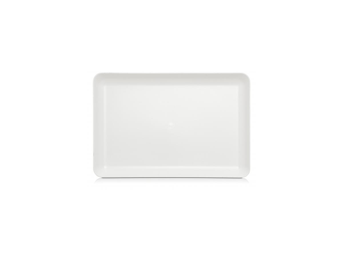 TABLETT PALETTE 30x20x3CM MIT RAND 1