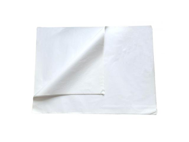 VAN BEEK PACKUNG SEIDENPAPIER SÄUREFREI GEBLEICHT 50X75CM 480 BLATT 1