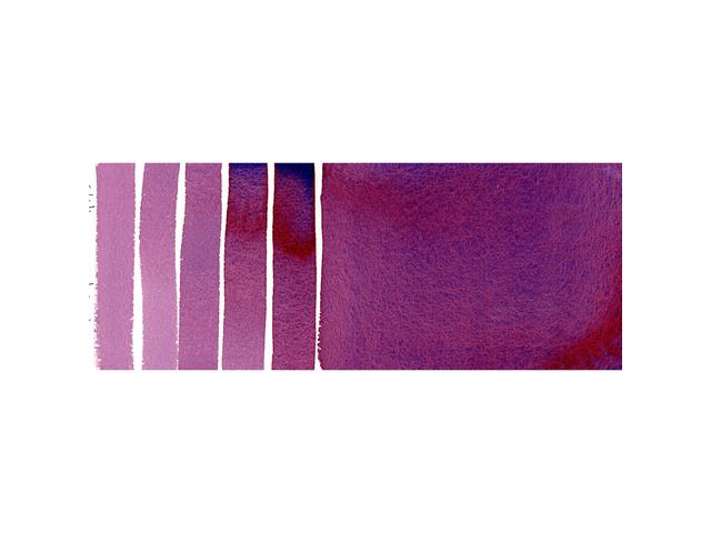 DANIEL SMITH WATERCOLOUR 5ML 101 S1 ROSE OF ULTRAMARINE 1