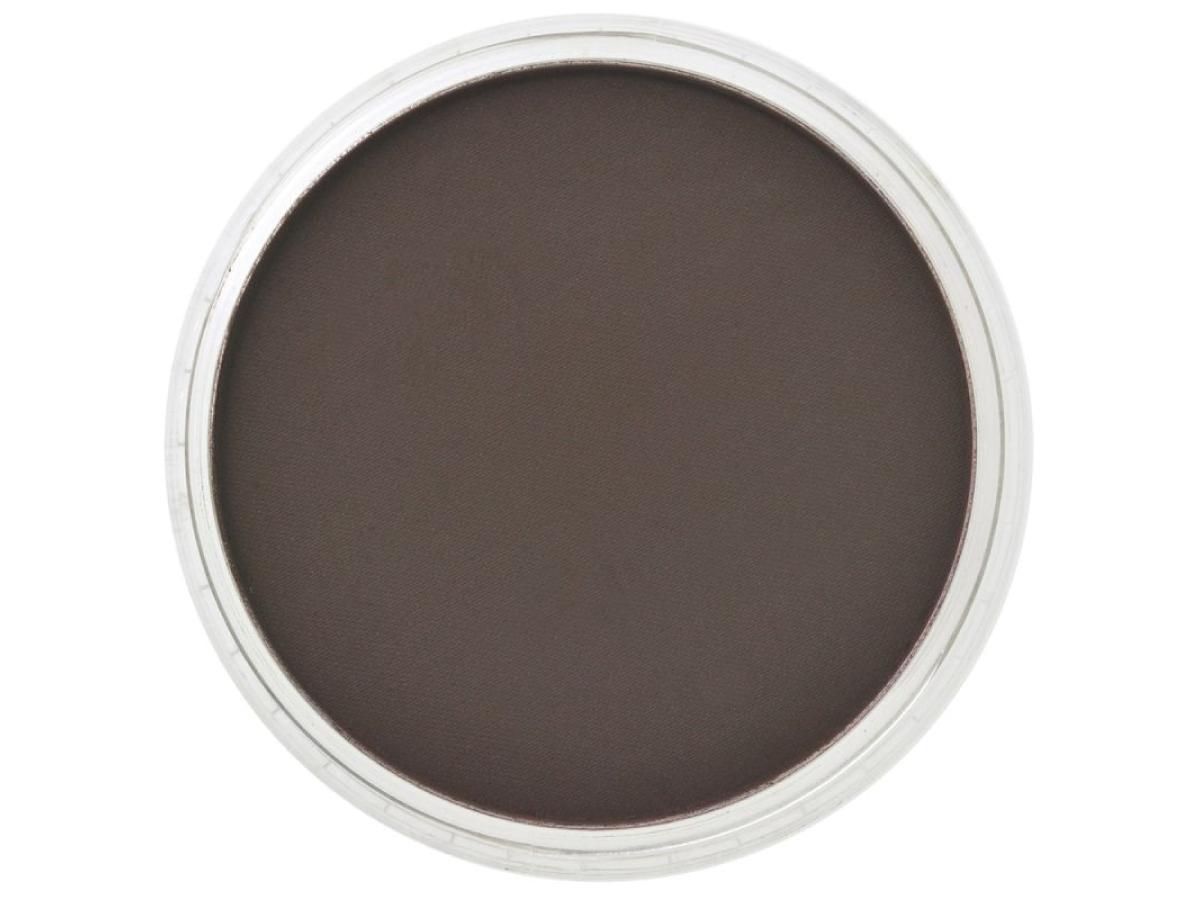 PANPASTEL 9ML RAW UMBER EXTRA DARK 780.1 1