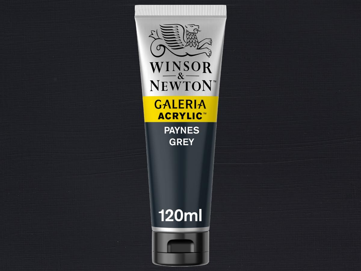GALERIA 120ML 465  PAYNE'S GRAU 1