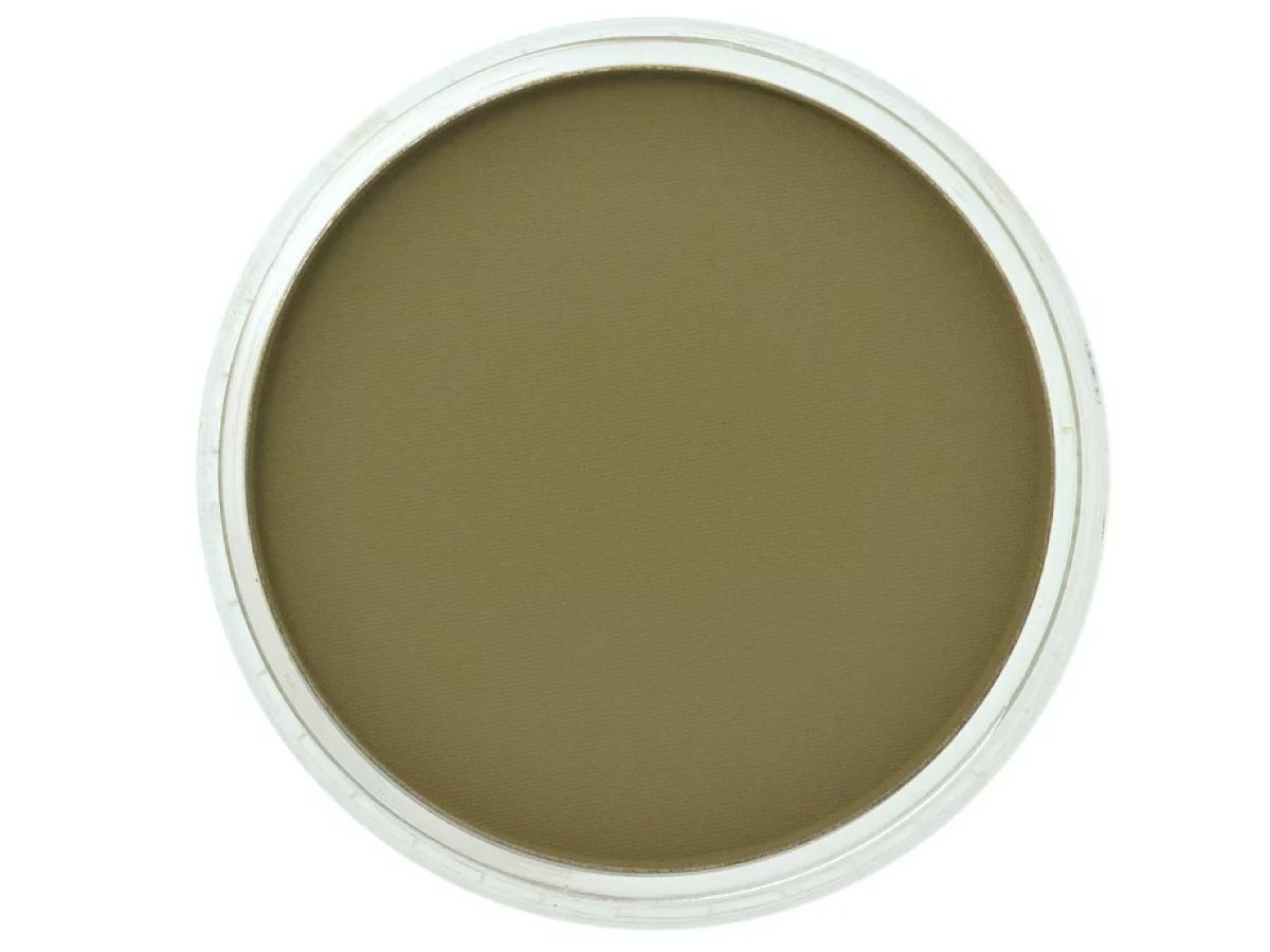 PANPASTEL 9ML YELLOW OCHRE EXTRA DARK 270.1 1