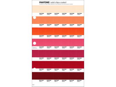 PANTONE PMS SOLID CHIPS ERSATZSEITE 45C 1