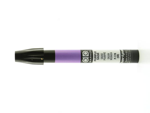 AD MARKER AD178 PURPLE SAGE 1