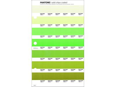 PANTONE PMS SOLID CHIPS ERSATZSEITE 194C 1