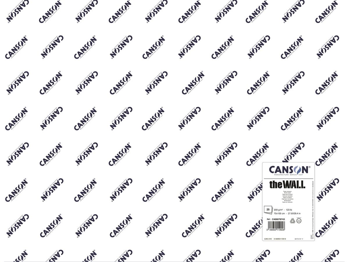 CANSON THE WALL GRAFITTIPAPIER BOGEN 200GRAMM 70x100CM 1