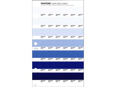 PANTONE PMS SOLID CHIPS ERSATZSEITE 119C 1