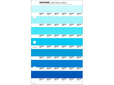 PANTONE PMS SOLID CHIPS ERSATZSEITE 147C 1