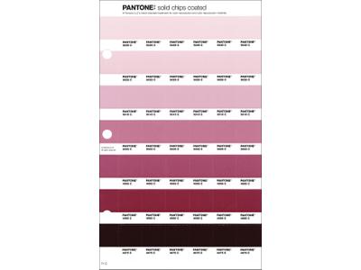 PANTONE PMS SOLID CHIPS ERSATZSEITE 71C 1