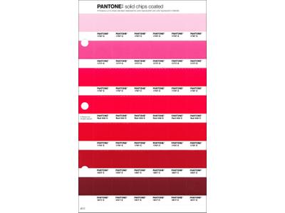 PANTONE PMS SOLID CHIPS ERSATZSEITE 41C 1