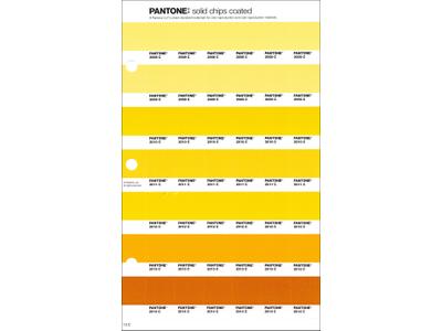 PANTONE PMS SOLID CHIPS ERSATZSEITE 13C 1