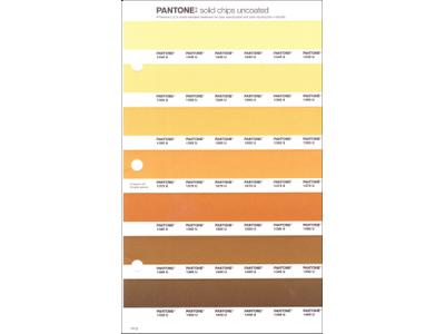 PANTONE PMS SOLID CHIPS ERSATZSEITE 14U 1