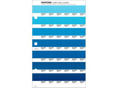 PANTONE PMS SOLID CHIPS ERSATZSEITE 149C 1