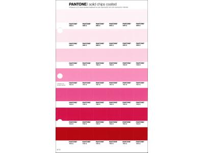 PANTONE PMS SOLID CHIPS ERSATZSEITE 51C 1