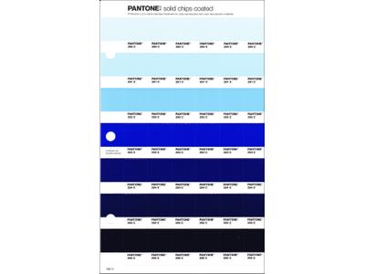 PANTONE PMS SOLID CHIPS ERSATZSEITE 132C 1