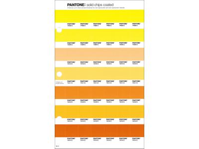 PANTONE PMS SOLID CHIPS ERSATZSEITE 16C 1