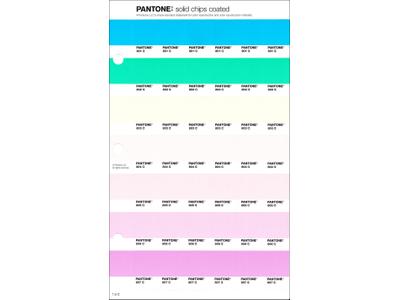 PANTONE PMS SOLID CHIPS ERSATZSEITE 1.5C 1