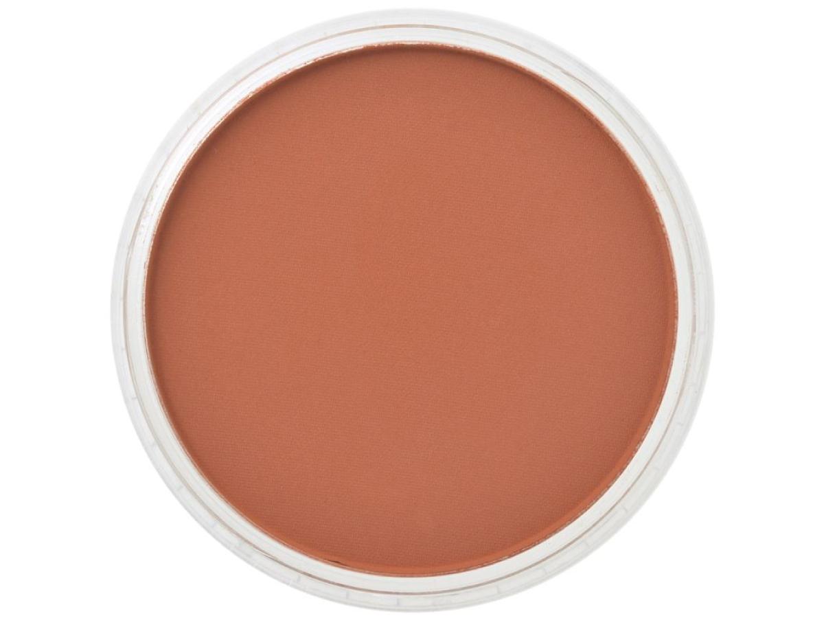 PANPASTEL 9ML BURNT SIENNA 740.5 1