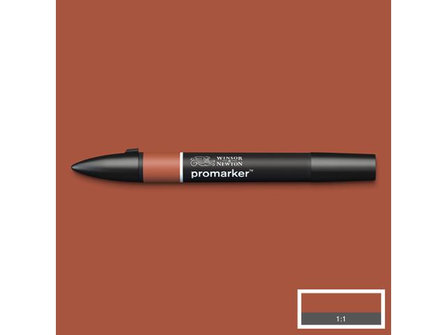 WINSOR & NETWON PROMARKER BURNT UMBER R646 1