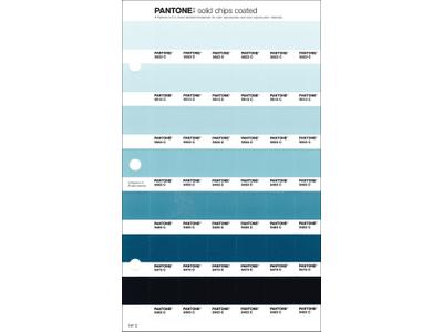 PANTONE PMS SOLID CHIPS ERSATZSEITE 161C 1