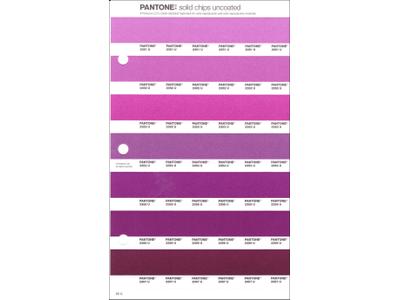 PANTONE PMS SOLID CHIPS ERSATZSEITE 80U 1