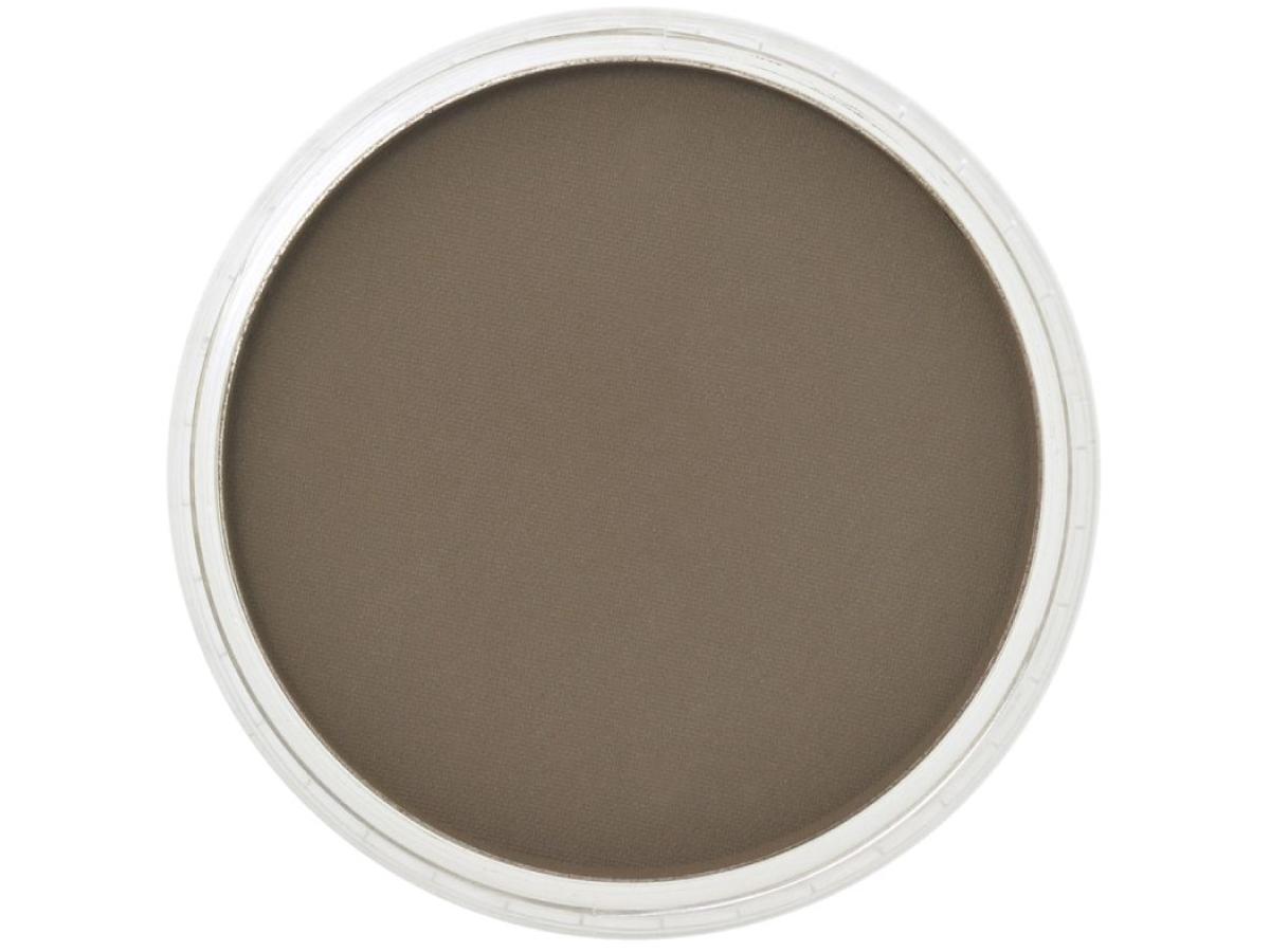 PANPASTEL 9ML RAW UMBER SHADE 780.3 1