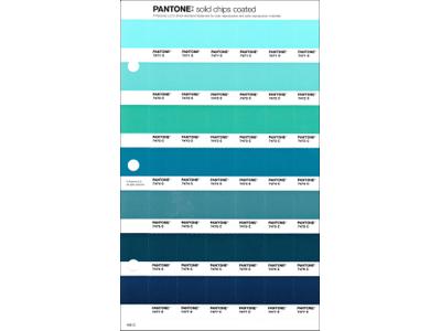 PANTONE PMS SOLID CHIPS ERSATZSEITE 159C 1