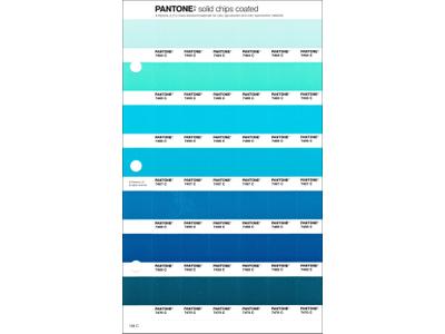 PANTONE PMS SOLID CHIPS ERSATZSEITE 158C 1