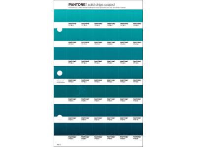 PANTONE PMS SOLID CHIPS ERSATZSEITE 163C 1