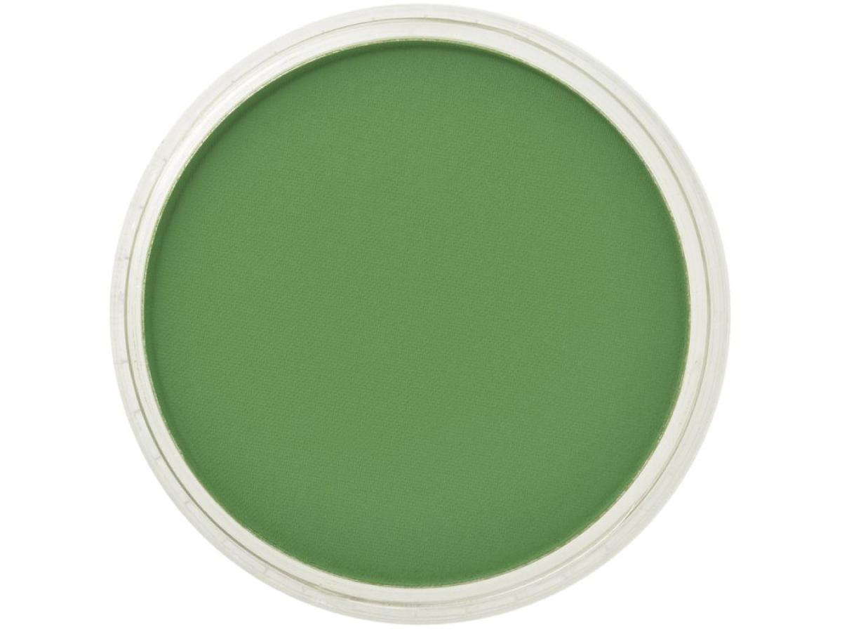 PANPASTEL 9ML CHROMIUM OXIDE GREEN 660.5 1