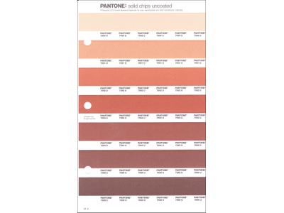 PANTONE PMS SOLID CHIPS ERSATZSEITE 31U 1