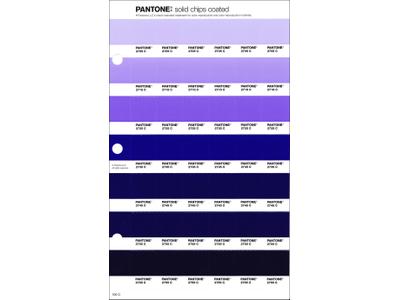 PANTONE PMS SOLID CHIPS ERSATZSEITE 100C 1