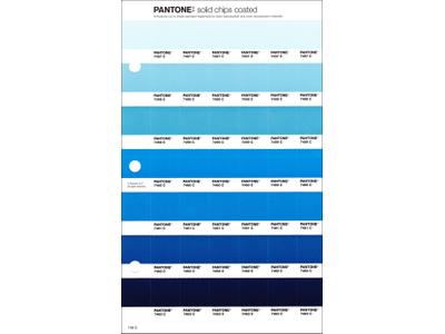 PANTONE PMS SOLID CHIPS ERSATZSEITE 145C 1