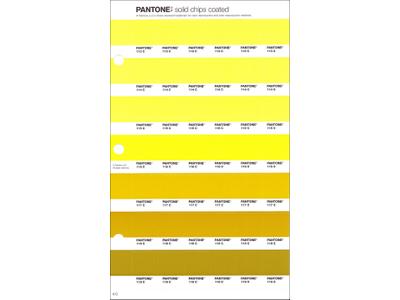 PANTONE PMS SOLID CHIPS ERSATZSEITE 6C 1